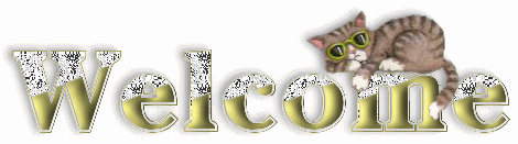 welcome-glitter-cat-graphic.gif