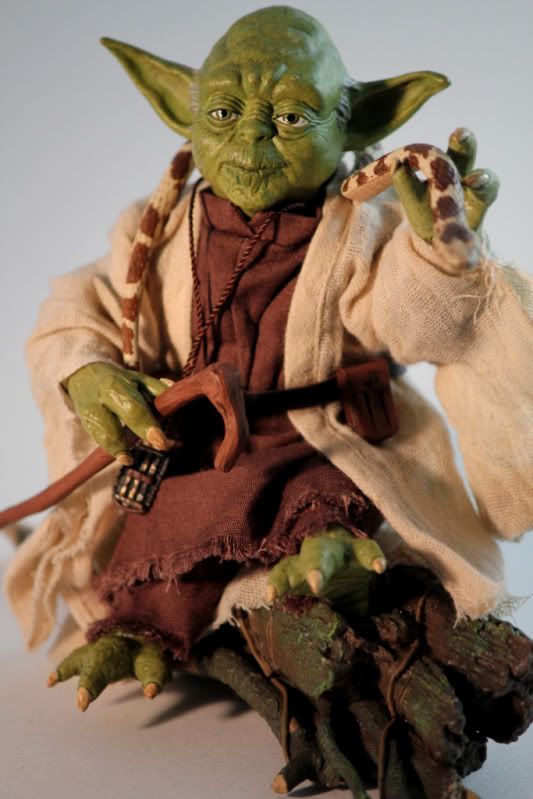 Yoda0012.jpg