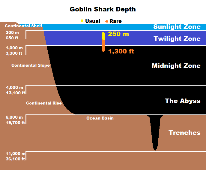 Goblin+Shark+Depth.png