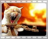 th_machine-gun-cat-animation.jpg