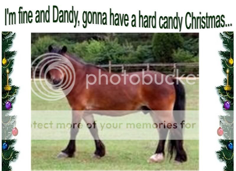 xmashorse7.jpg