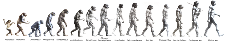 EVOLUTION%20Timeline%20of%20Dinosaurs%20and%20Man.png