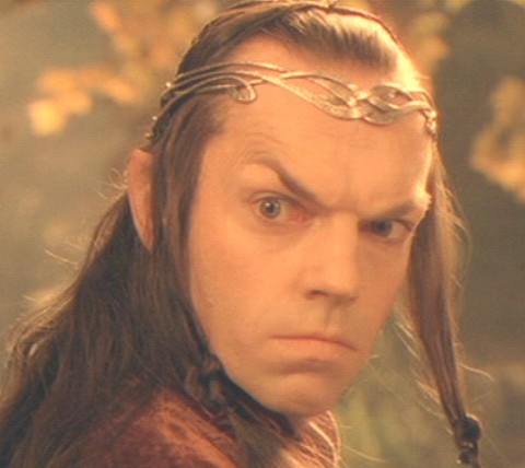 elrond-the-elves-of-middle-earth-10415309-480-428.jpg