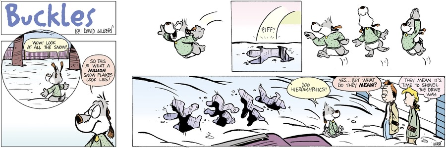 Buckles Comic Strip for January 14, 2024 