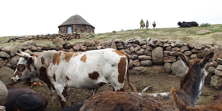 lesotho2010099.jpg