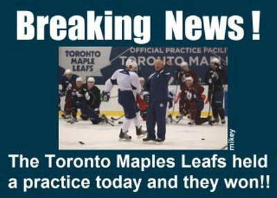 Leafs-S.jpg