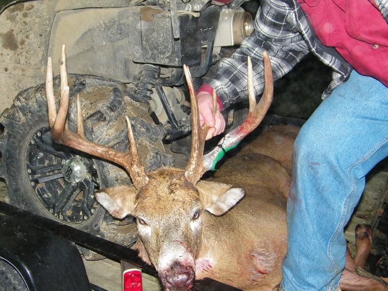 Deer2015Lanny%20007_zps6poybvcc.jpg