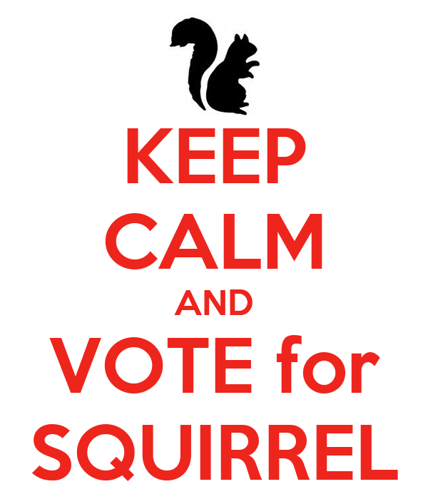 keep-calm-and-vote-for-squirrel-2.png