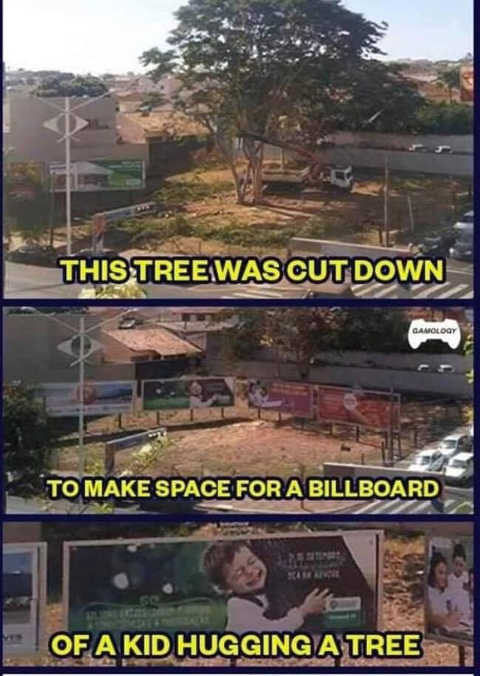 tree-cut-down-for-billboard-of-kid-hugging-tree.jpg