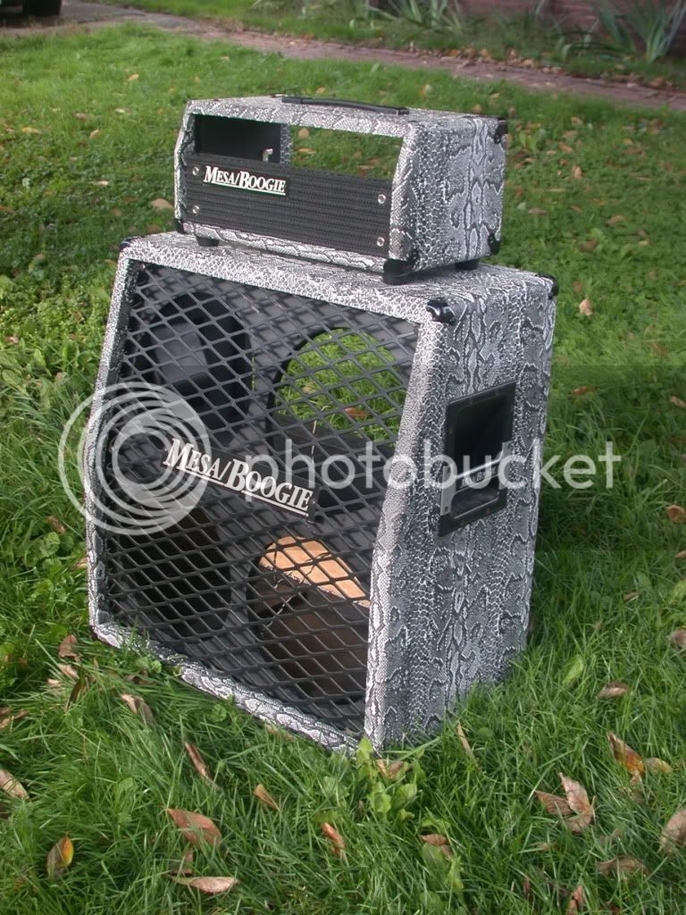 RobertsSnakeskin4x12andShorthead16_resize.jpg