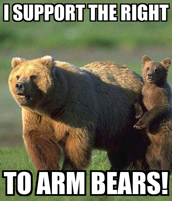 i-support-the-right-to-arm-bears.jpg