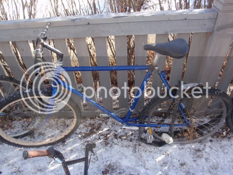 freebikes033.jpg