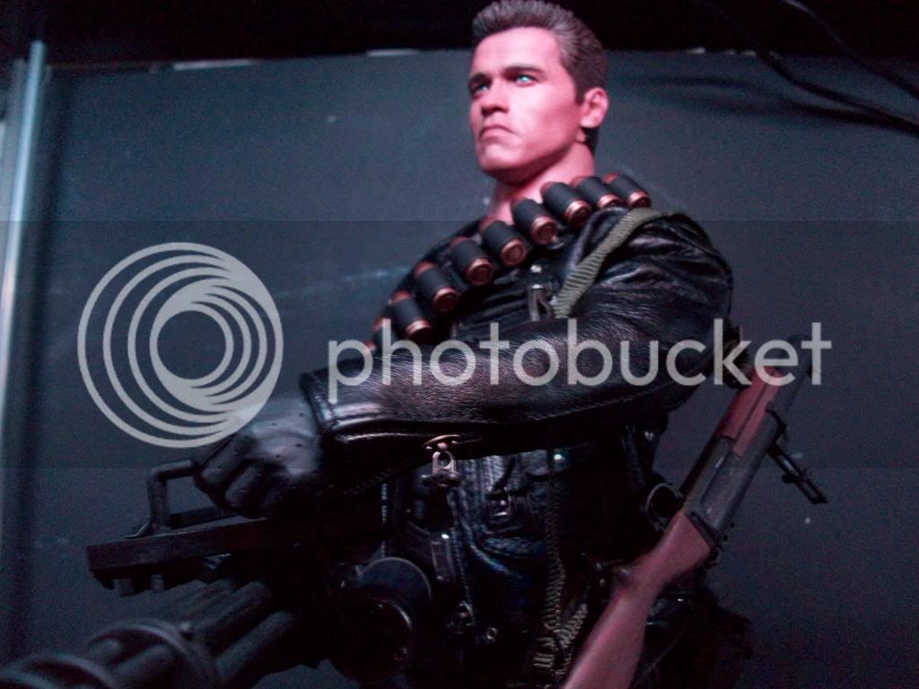 TerminatorCollection-12-2012009.jpg