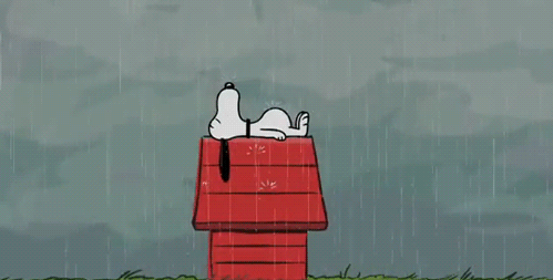 rain-raining-gif-snoopy-peanuts.gif