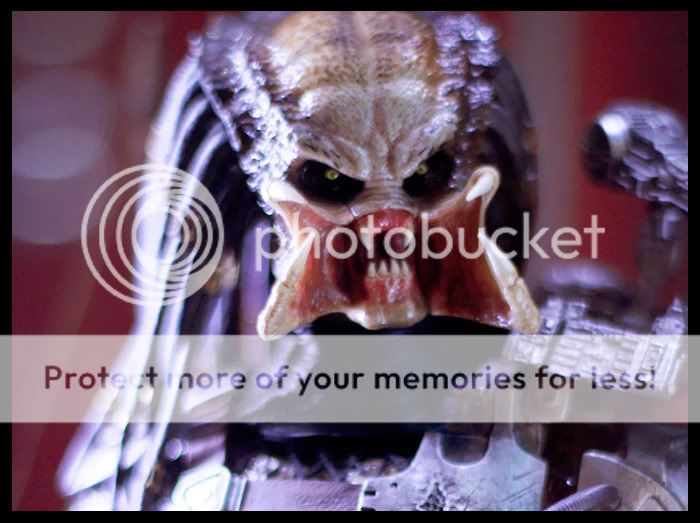 Predator8d.jpg