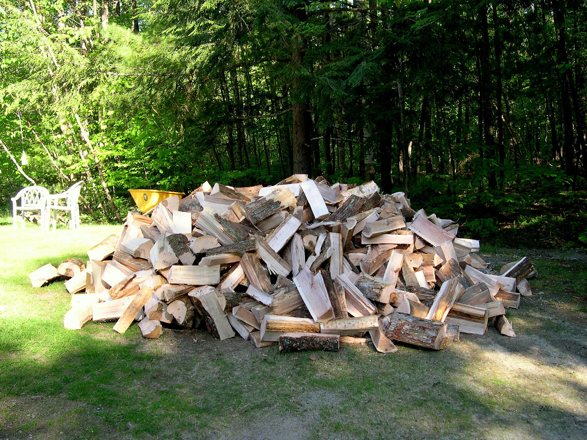 wood-pile-cut-wood-wood-delivery-firewood1.jpg