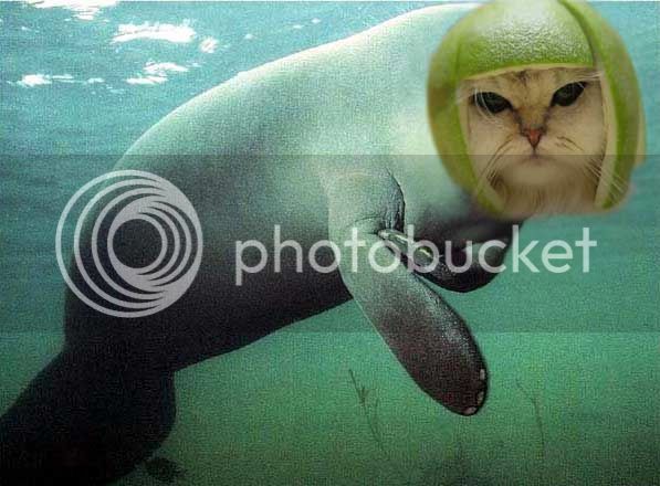 manatee_pussy.jpg