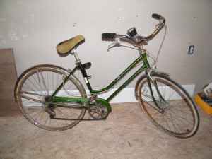 schwinn.jpg