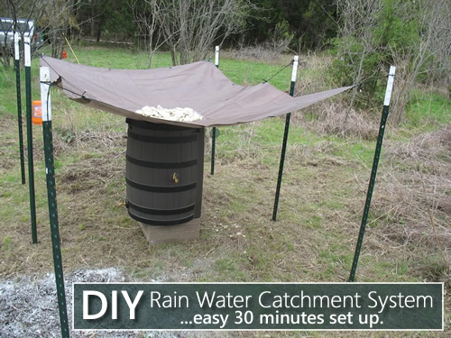 diy-rain-water-catchment-system.jpg
