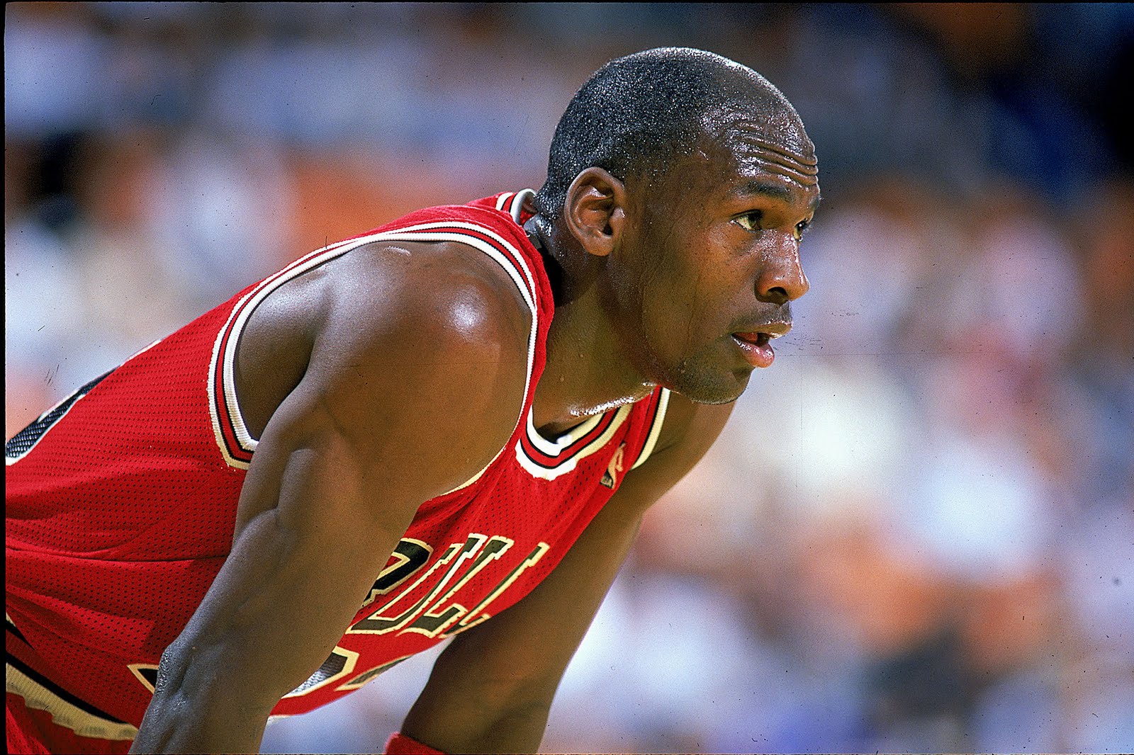 Michael+Jordan+of+the+Chicago+Bulls%252C+1989.jpg