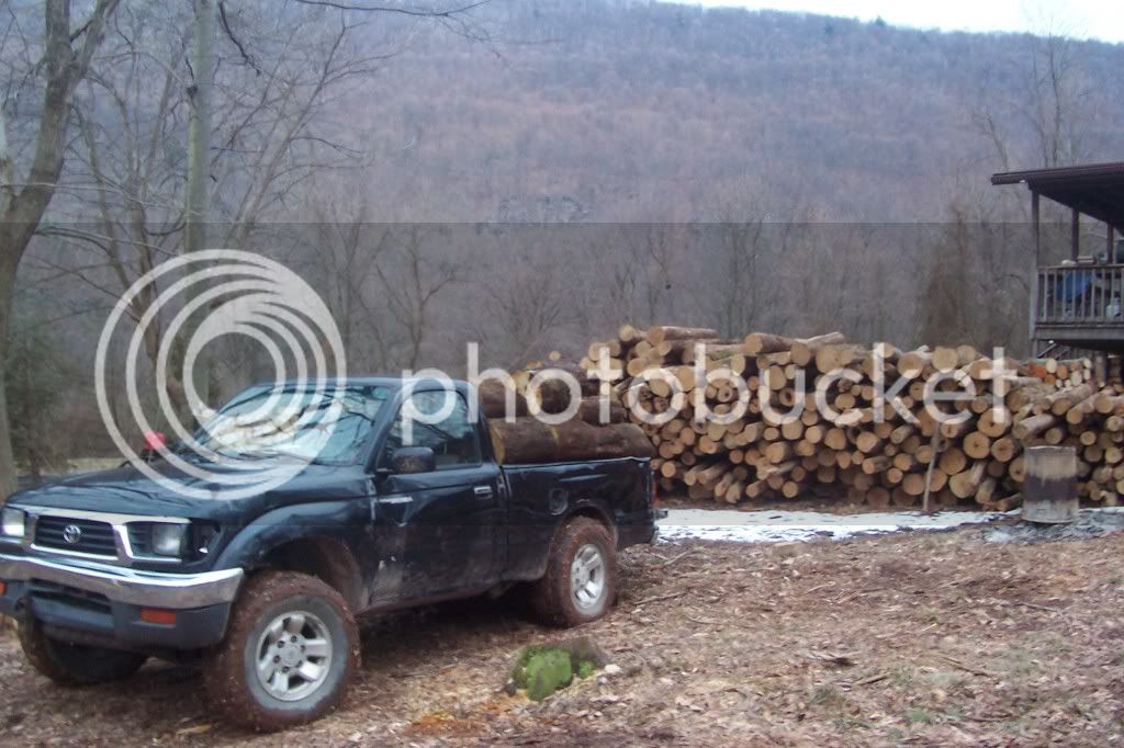 Woodpiles2162013007.jpg