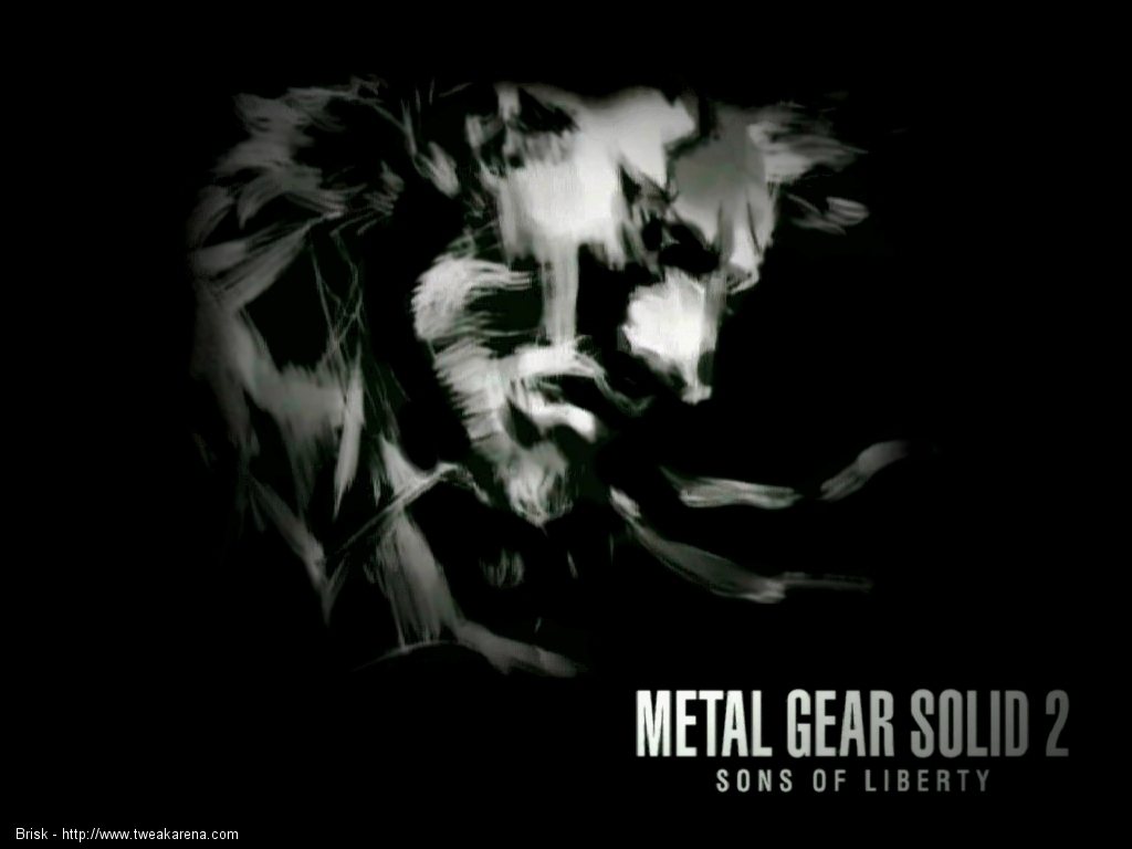 MGS2-metal-gear-solid-7903298-1024-768.jpg