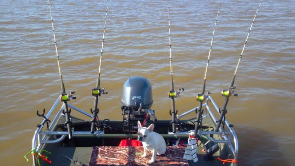 4 Fishing Rod Holder Spider Crappie Rig Drifting T-bar. Free Shipping -   Canada