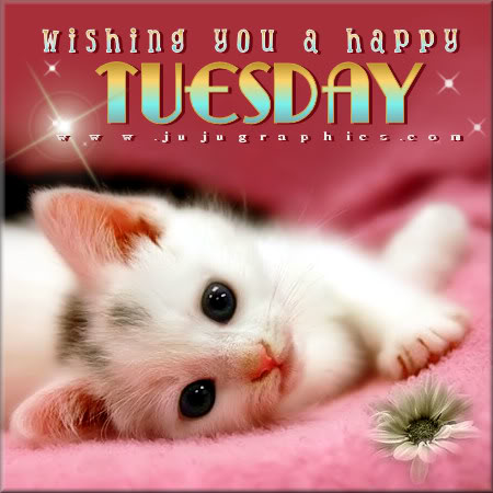 Wishing-you-a-happy-Tuesday.jpg