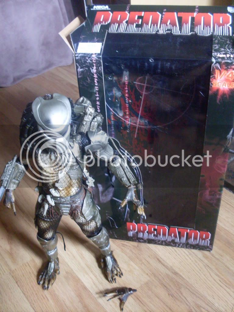 NECA19INCHP1YAY001.jpg