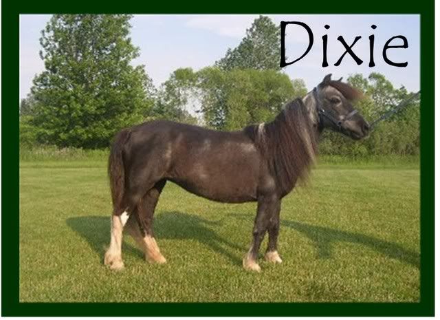 Dixiewebsite.jpg
