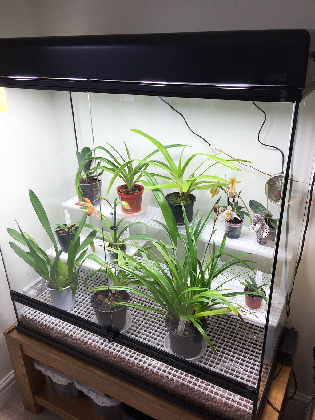 orchidarium.jpg