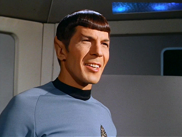 Spock-mr-spock-10026311-700-530.jpg