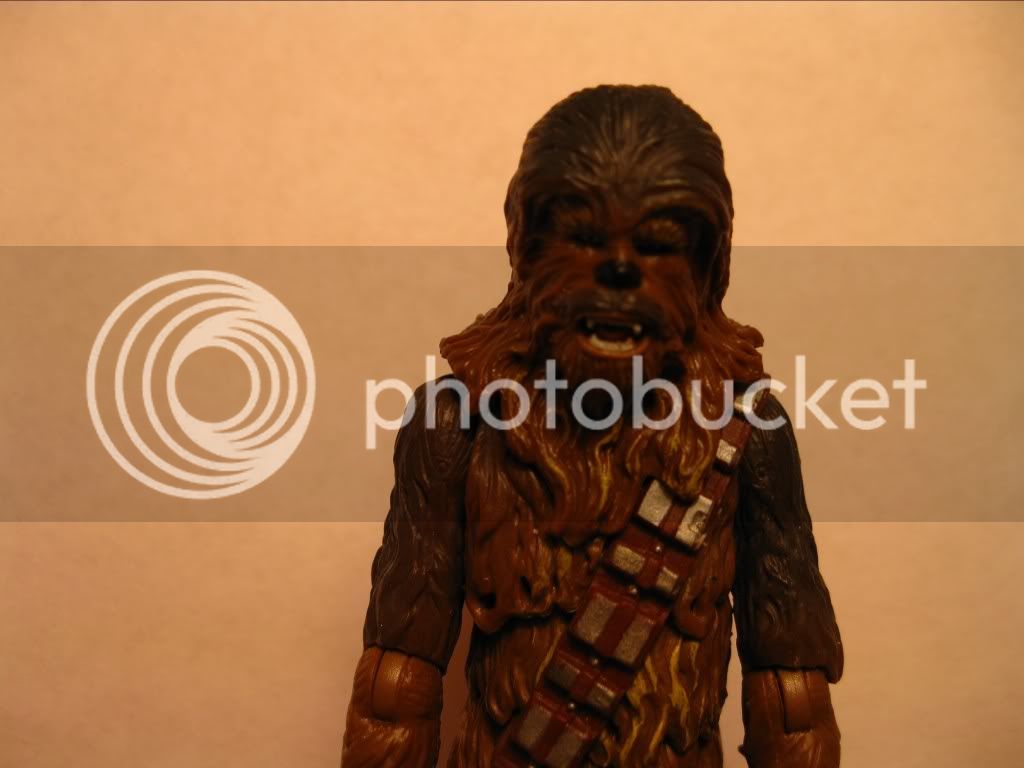 Chewbacca5.jpg