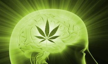 marijuana-migraines.jpg