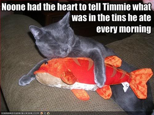 funny-pictures-cat-has-tuna-shaped-.jpg