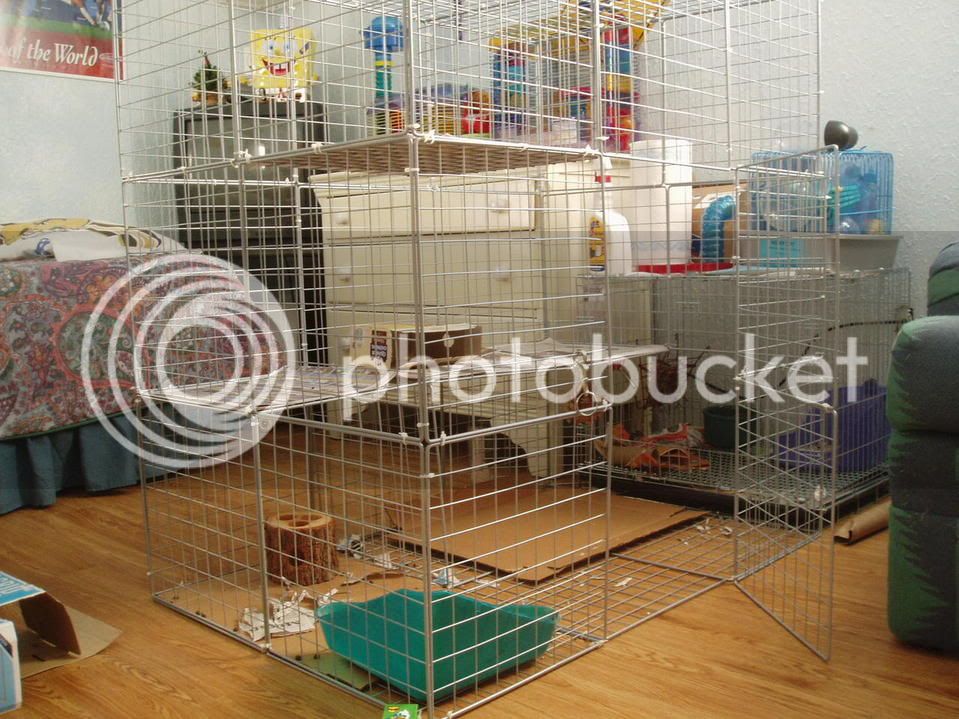 cage2.jpg