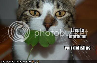 funny-pictures-your-cat-ate-a-lepre.jpg