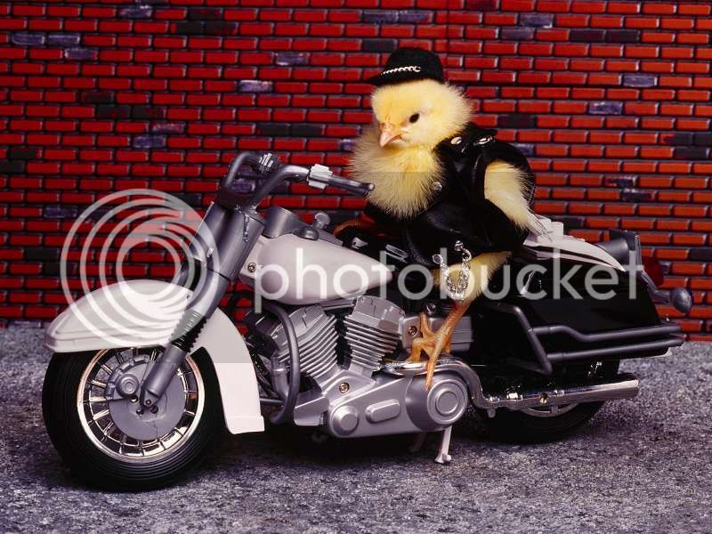 chick_bike.jpg