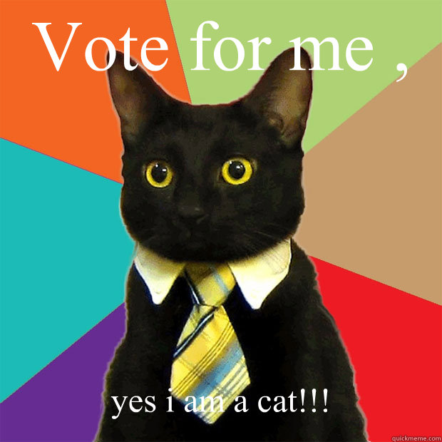 Vote-for-me-yes-i-am-a-cat.jpg