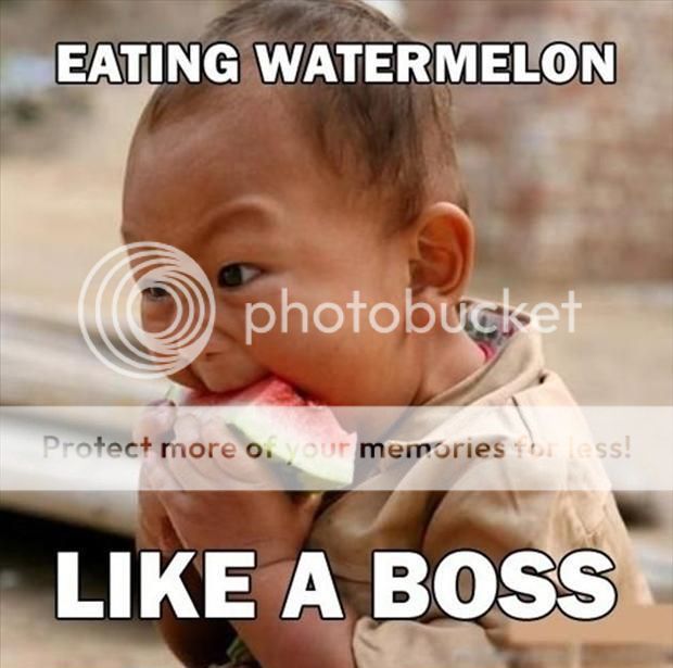 like-a-boss-funny-meme-10_zps00890916.jpg