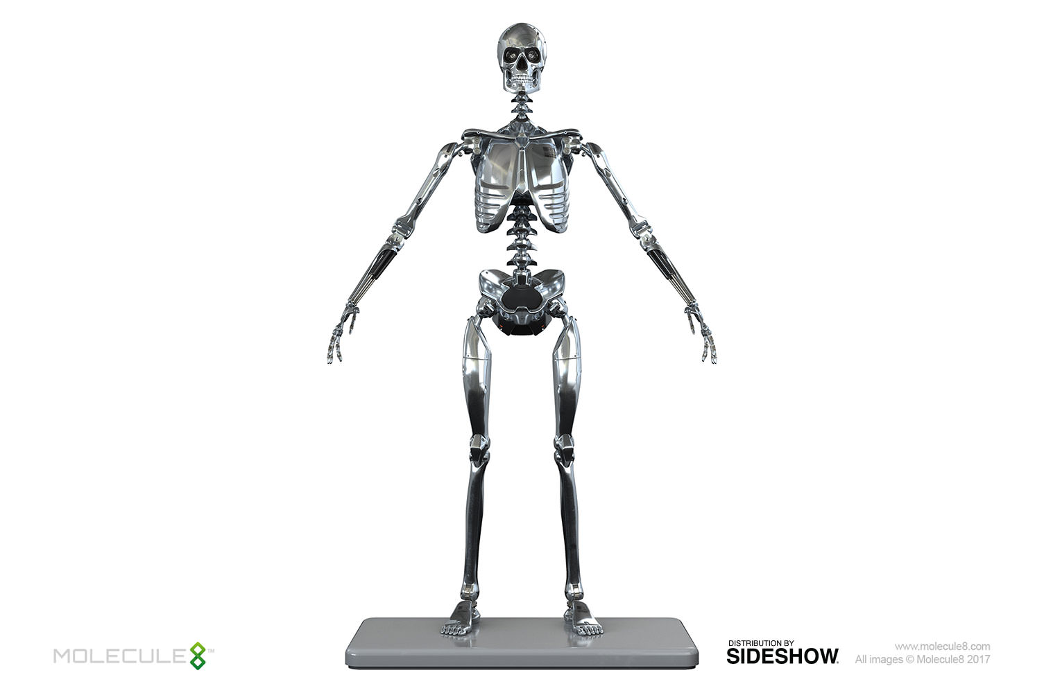 mark-1-endoskeleton-sixth-scale-molecule8-903050-01.jpg