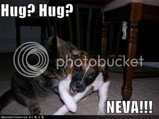 cute-puppy-pictures-dog-refuses-hug.jpg