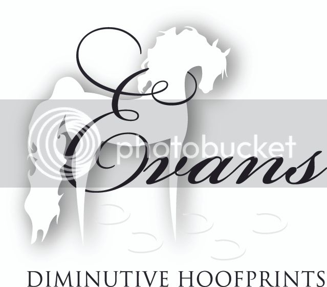 EvansDH_BW_Logo1.jpg