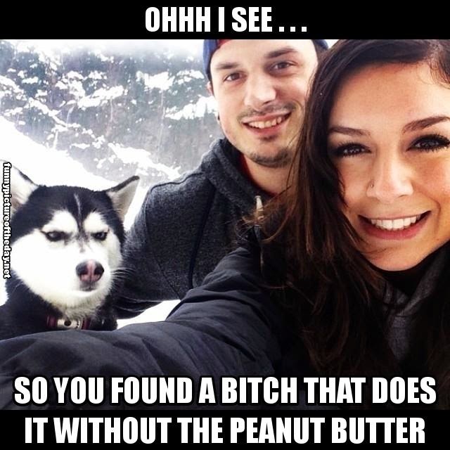 Oh-I-See-Jealous-Wolf-Snow-Dog-Meme-Does-It-Without-The-Peanut-Butter.jpg