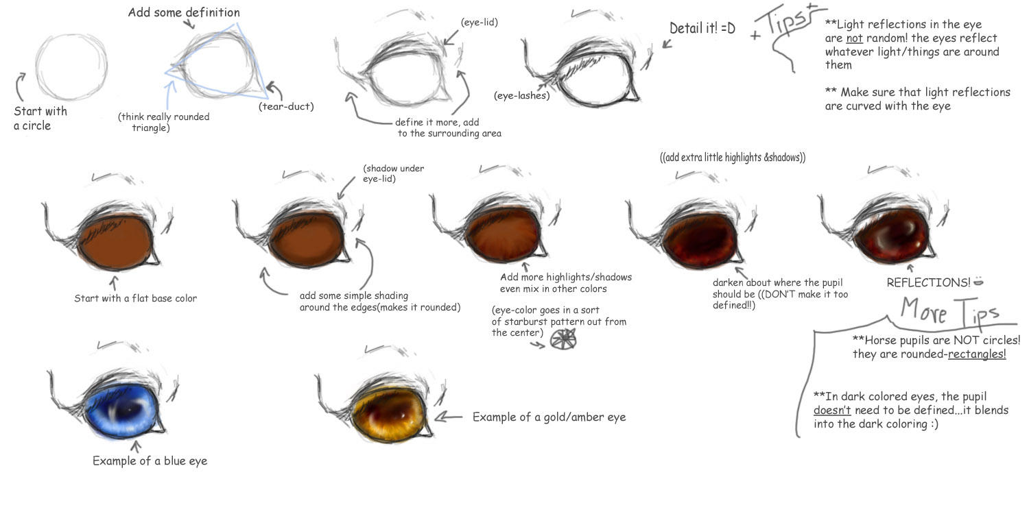 Horse_Tutorial_Eye_Basics_by_vixentheangryfox.jpg