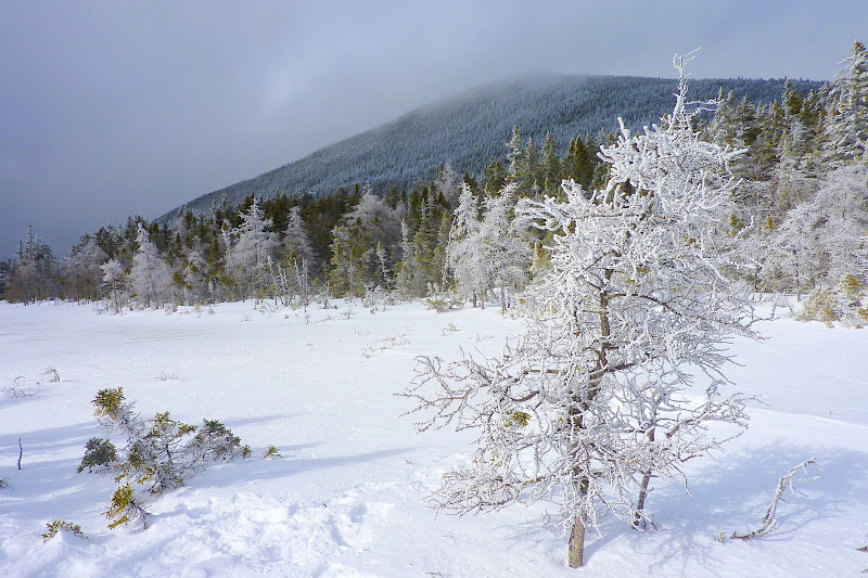 Mt_Nancy_from_Nancy_Pond.JPG