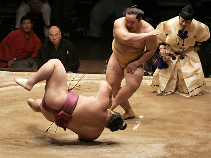 sumo-i.jpg