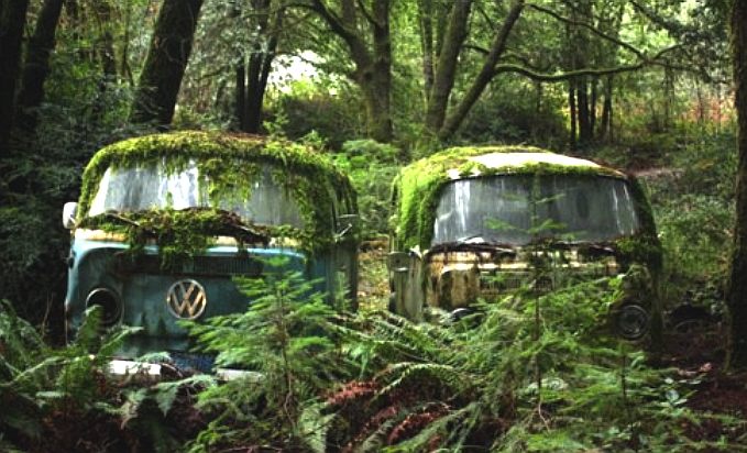 volkswagen_camper_jungle_woods_kombi_wagon_eco_camper_bus_tarzan_joss_stone.jpg