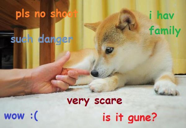 doge-meme-shot.jpg