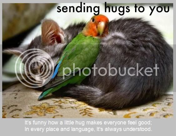 Cat_and_bird_hug.jpg